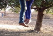 Photo of नाबालिग प्रेमी जोड़ों ने पेड़ पर फांसी लगाकर दी जान,मचा हड़कंप,   CHHINDWARA NEWS