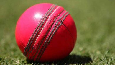 Photo of इस साल के आखिर में आस्ट्रेलिया दौरे पर गुलाबी गेंद से टेस्ट खेलेगी भारतीय महिला टीम