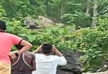Photo of प्रसिद्ध धार्मिक स्थल जटाशंकर धाम के पास तेंदुए का मूवमेंट, लोगों ने वीडियो किया वायरल