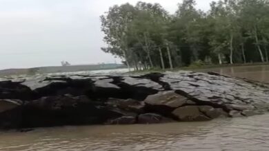 Photo of अजब- गजब : अचानक पानी में से ऊपर उठने लगी जमीन,मचा हड़कंप, देखें Video
