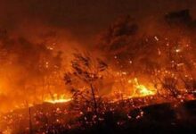 Photo of यूनान में जंगलों में लगी आग ने मचाई भारी तबाही, 1400 से ज्यादा लोगों को ने निकाला गया सुरक्षित