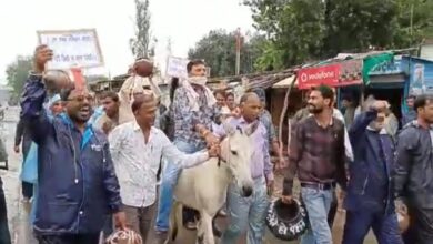 Photo of विदिशा में संयुक्त मोर्चा ने गधे पर बैठ निकाली रैली,बोले सरकार गधे जैसी हो गई है,न सुनती है,न काम करती है