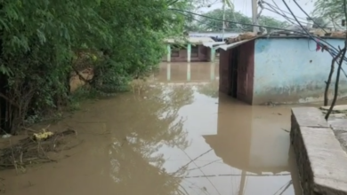 Photo of चंबल नदी खतरे के निशान से 6 मीटर ऊपर, दो दर्जन से ज्यादा गांव में घुसा पानी, कई हिस्सों में प्रशासन कि नहीं पहुंची मदद