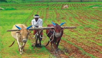 Photo of कृषि कानून को वापस लेने के बाद मोदी सरकार फिर किसानों पर हुई मेहरबान, खाते में आएंगे इतने हजार