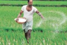 Photo of promotion of farming : सरकार किसानों को 18.5 लाख करोड़ रुपए का दे सकती है बड़ा तोहफा