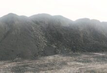 Photo of NCL के संविदाकार नियम विरुद्ध 50 हजार मैट्रिक टन कोयले का कर रखा था भंडारण,कलेक्टर का चला चाबुक