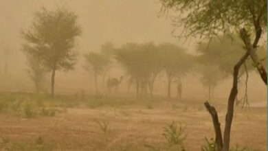 Photo of weather update: इन राज्यों में धूल भरी आंधी के साथ वारिष की चेतावनी,अलर्ट जारी
