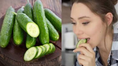 Photo of Cucumber For Health: खीरा खाने के बाद करेंगे ये गलती तो फायदे की जगह बिगड़ सकती है तबियत, ऐसी हो जायेगी सेहत