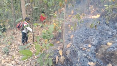 Photo of बैढऩ, माड़ा के जंगलों में फैली आग वन अमले की टीम ने कड़ी मशक्कत के बाद आग पर पाया नियंत्रण