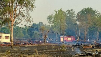Photo of बरगवां काष्ठागार में भीषण आग, 5 करोड़ों की लकड़ी जलकर हुई खाक!आधा दर्जन दमकल आग पर पाया काबू