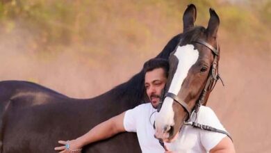 Photo of Salman Khan के घोड़े की क़ीमत इतनी की खरीद सकते है फरारी ,लगाते है अपने घोड़े से रेस देखें शानदार तस्वीरें रखते है