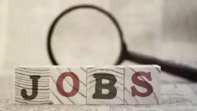 Photo of Government Job 2022 : यहाँ 300 पदों पर निकली है नौकरी, जानें आयु-पात्रता, 15 जून से पहले करें आवेदन