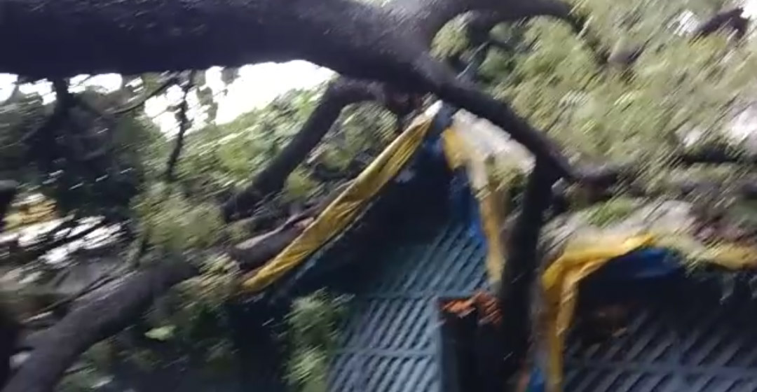 Monsoon speed in Indore :  बरसों पुराना पेड़ गिरने से मकान व कार हुआ क्षतिग्रस्त, मौसम विभाग ने मूसलाधार बारिश की थी भविष्यवाणी