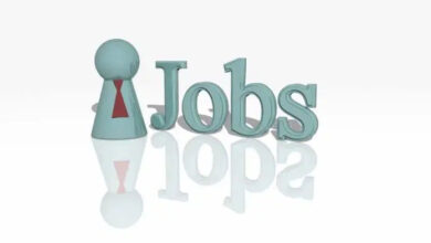 Photo of Government Job 2022 : राष्ट्रीय स्वास्थ्य मिशन में 420 पदों पर निकली है नौकरी, जानें आयु-पात्रता और सैलरी, 20 जुलाई से पहले करें आवेदन