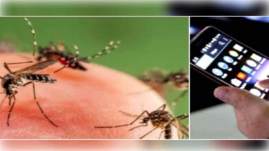 Photo of Mosquito Killer Apps : घर में मच्छर-मक्खियों से हैं परेशान तो डाउनलोड करें ये App, दिखेगा असर