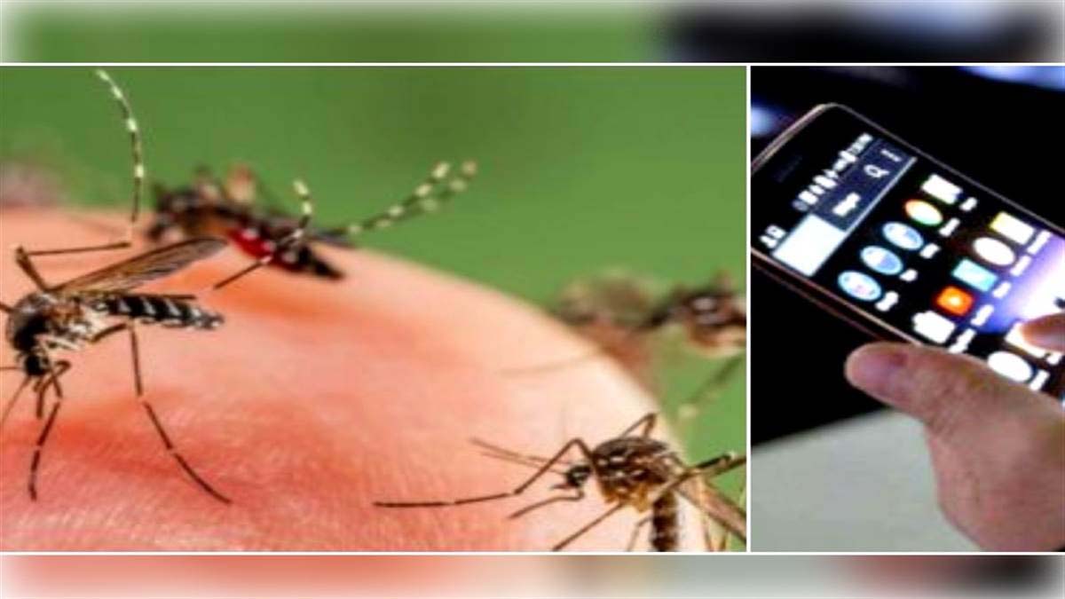 Mosquito Killer Apps : घर में मच्छर-मक्खियों से हैं परेशान तो डाउनलोड करें ये App, दिखेगा असर