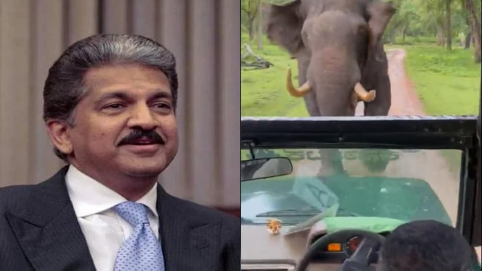 Haathi : हारा हाथी... बोलेरो चालक का साहस देख आनंद महिंद्रा ने नाम दिया कैप्टन कूल, बोले की अभिषेक करना...