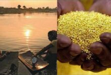 Golden River of India: भारत के इस गोल्डन नदी के पानी में बहता है सोना, यहां के लोगों की कमाई का हैं जरिया