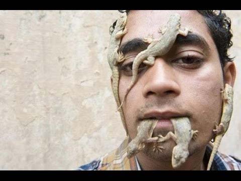 Eat lizard - अजब मध्यप्रदेश के गजब लोग खाते हैं छिपकली, वजह जानकर हो जाएंगे हैरान