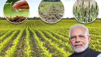 PM Kisan: कृषि मंत्री ने किसानों के लिए 1 लाख करोड़ की घोषणा, आमदनी बढ़ाने के ल‍िए क‍िया ऐलान