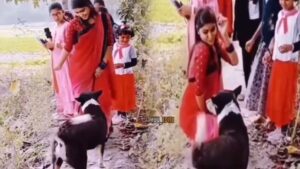 Viral video : लाल साड़ी में लड़की ने कुत्ते के सामने लचकाई कमर, कमीने ने कर दी यह हरकत