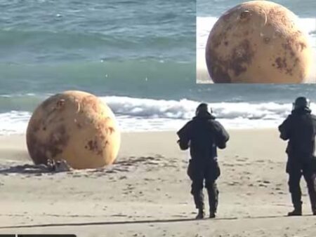 mystery of metal ball : बीच पर मिली आगमकद रहस्यमई गेंद, किसी ने बताया बम तो कोई एलियन से जोड़ा कनेक्शन,अब जांच से उठा पर्दा