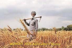 Budget 2023: महिलाओं को बड़ी सौगात,किसानों को मिलेगा कर्ज, 66% बढ़ी PM आवास योजना, पढ़ें बजट