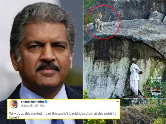 leopard viral pic : बुजुर्ग को पूजा करतें देख पास बैठ गया तेंदुआ , आनंद महिंद्रा का नया ट्वीट इंटरनेट पर बना राकेट