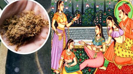 Mughal Era Dark Secret: सेक्सुअल पावर बढ़ाने के लिए ये खाते थे मुगल बादशाह, मेन्यू में होते थे ऐसे शाही व्यंजन