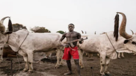 Cow Urine Drinking : गौमूत्र पीते हैं और नहाते हैं यहां पर लोग,थन से पीते हैं दूध ! गाय के लिए हर साल 2500 लोगों की हो जातीं हैं मौत, उठाते हैं बंदूक