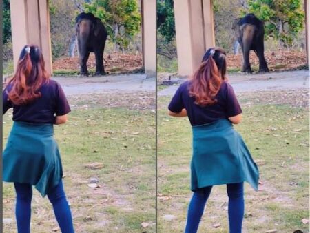 Viral Video: हाथी को लड़की ने दिखाया डांस, बिना देरी के झूम उठे गजराज, ये जुगलबंदी देख यकीन करना होगा मुश्किल 