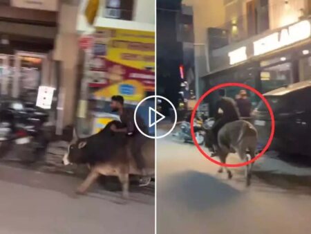 Funny Viral Video: घोड़ा-हाथी नहीं बैल को सवारी बनाकर सड़क पर उतरा शख्स, लोग बोले- कैलाशपति नाथ की जय