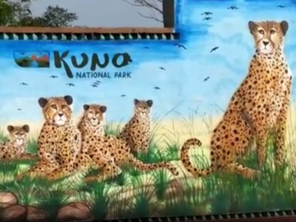 Kuno National Park: कूनो नेशनल पार्क में अब African चीता ज्वाला के शावक की मौत, मचा हड़कंप 