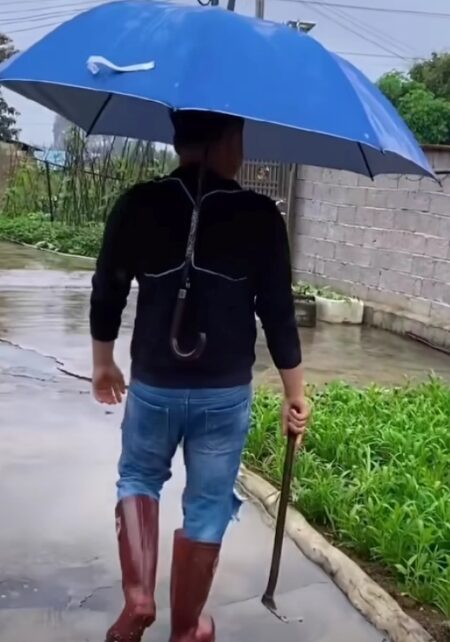 Holding Umbrella in rain without hands : बारिश में छाता पकड़ने का शख्स ने खोजा शानदार तरीका, VIDEO देखकर आप भी हो जाएंगे इंस्पायर 
