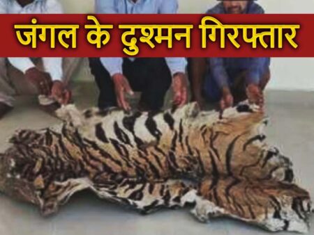 Bhopal News :राजधानी में वन विभाग की बड़ी कार्रवाई! जंगल के 8 दुश्मन गिरफ्तार, जब्त बाघ और तेंदुए के अंगों की बड़बड़ाहट से हिला देगी दिमाग