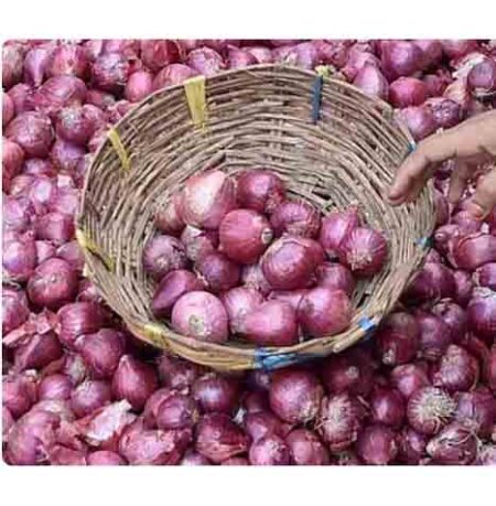 Onion Price : प्याज के रेट ना बढ़े सरकार ने उठाया बड़ा कदम, 3 लाख टन प्याज खरीद किया 'बफर स्टॉक' 
