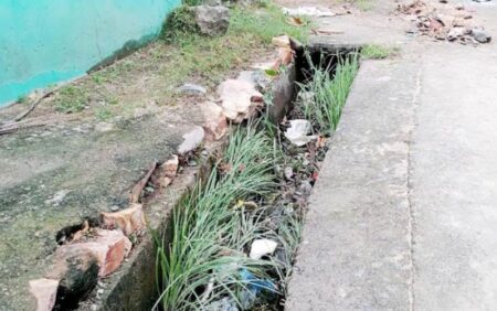 Singrauli news : हर महीने 80 लाख खर्च के बाद भी कचरे में सराबोर माजनकला की नालियां! महीनों से नहीं हुई साफ-सफाई