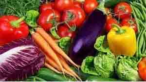 Seasonal Farming : मानसून के बीच लगाएं ये 5 सब्जियां, अगस्त माह में खेती करने पर होगी बंपर कमाई