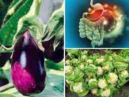 Monsoon News : बारिश के महीने में इन सब्जियों के उपयोग से हो सकता है संक्रमण, रखे परहेज ….