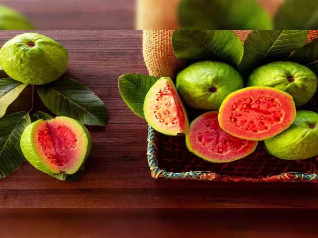 Guava Benefits: रोज खाएं एक अमरूद, थम जाएगी बढ़ती उम्र! फायदे जान खाना कर देंगे शुरू 
