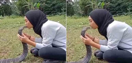 Sexy kiss : किंग कोबरा को किस करना महिला की सबसे बड़ी ग़लती, फिर सांप ने जो किया हिल जाएंगे आप