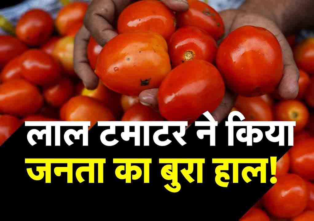 Tomato price : ‘टमाटर’ हुआ 150 के पार, व्यापारी बोले अभी और होगा ‘लाल’, महंगाई से किचन में हाहाकार Tomato price : 'टमाटर' हुआ 150 के पार, व्यापारी बोले अभी और होगा 'लाल', महंगाई से किचन में हाहाकार